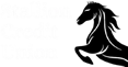 Stallion Credit Union